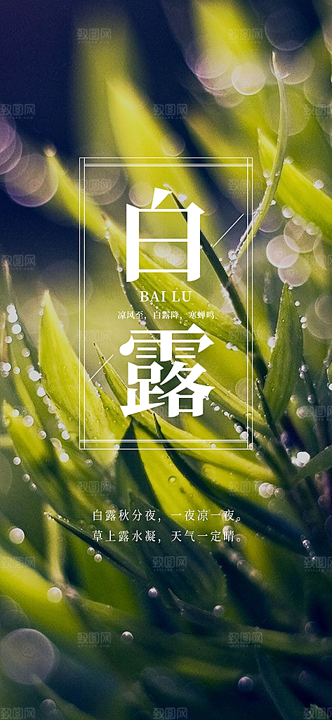 中国传统二十四节气白露节气宣传海报
