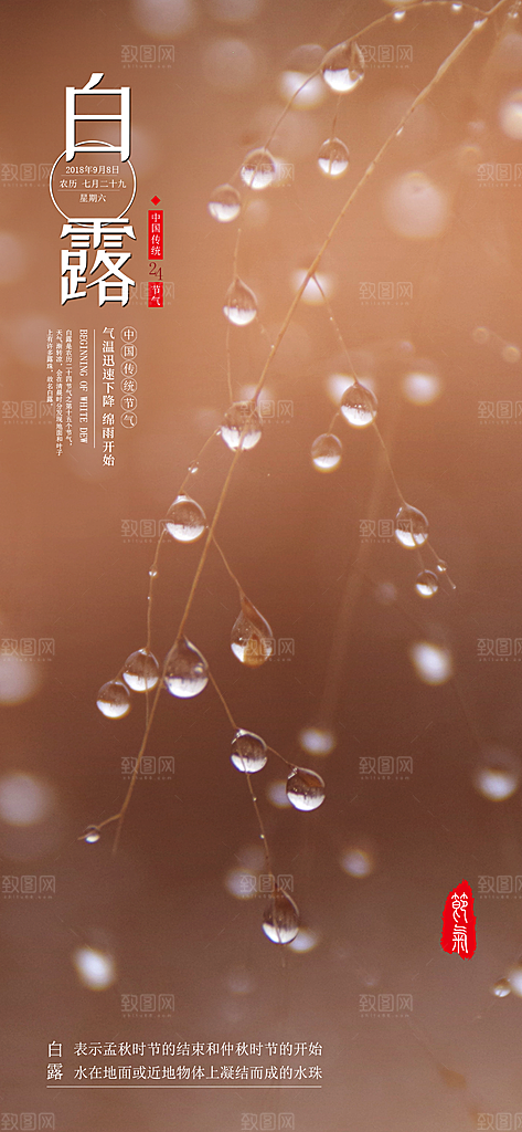 中国传统二十四节气白露节气宣传海报
