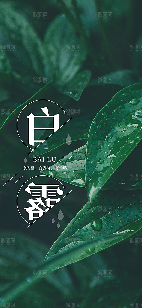 中国传统二十四节气白露节气宣传海报