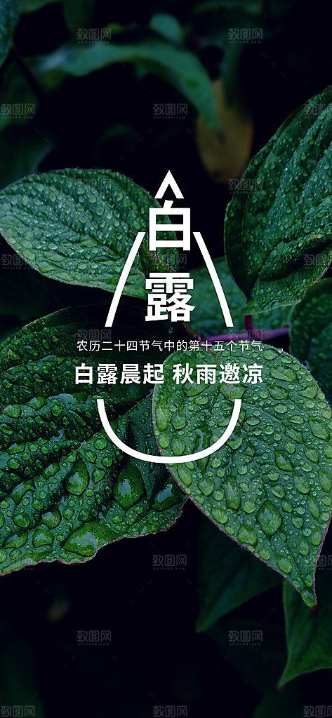 中国传统二十四节气白露节气宣传海报