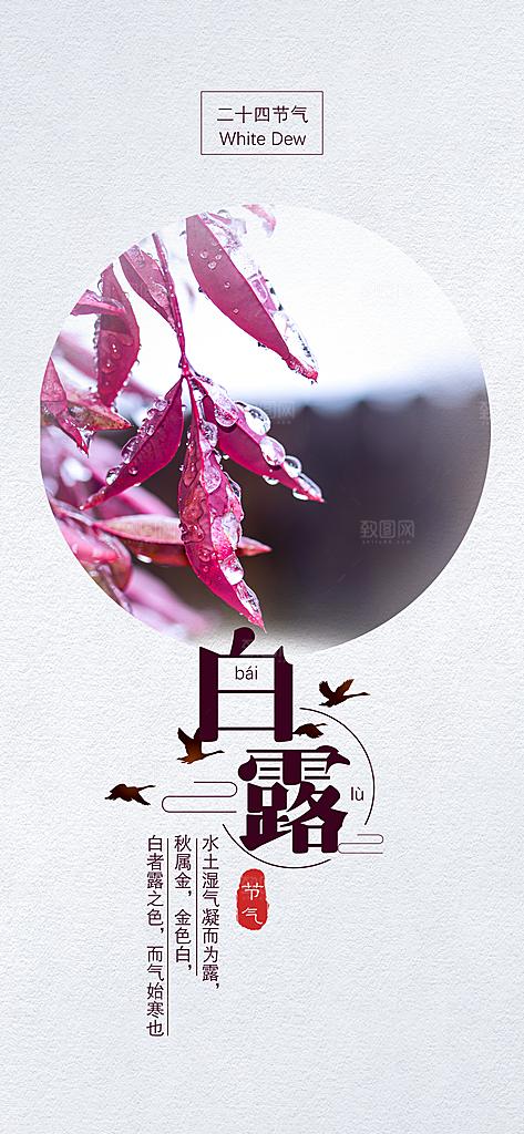 中国传统二十四节气白露节气宣传海报