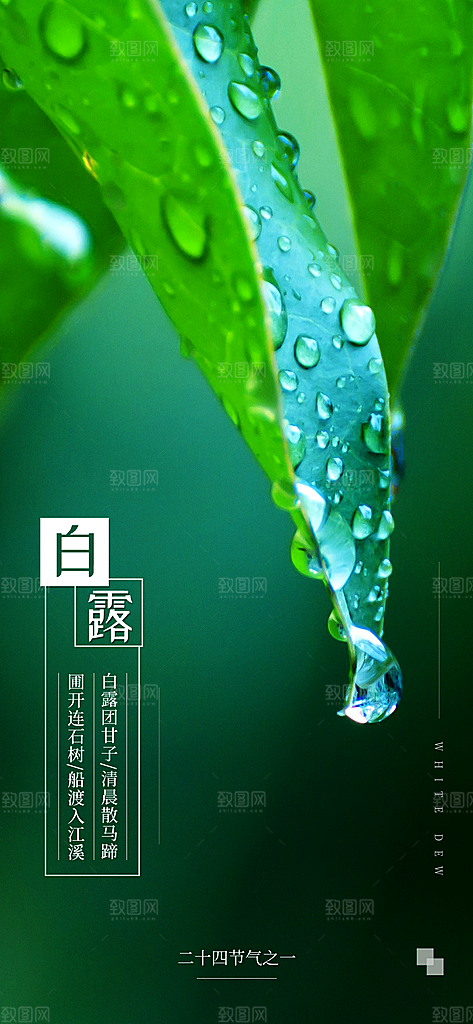 中国传统二十四节气白露节气宣传海报