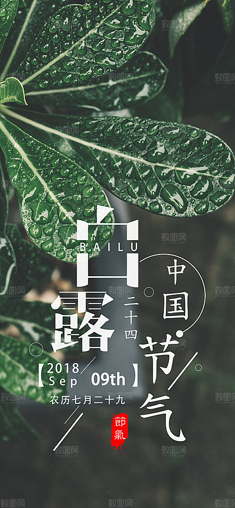 中国传统二十四节气白露节气宣传海报