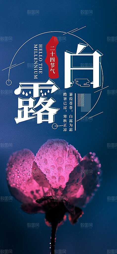 中国传统二十四节气白露节气宣传海报