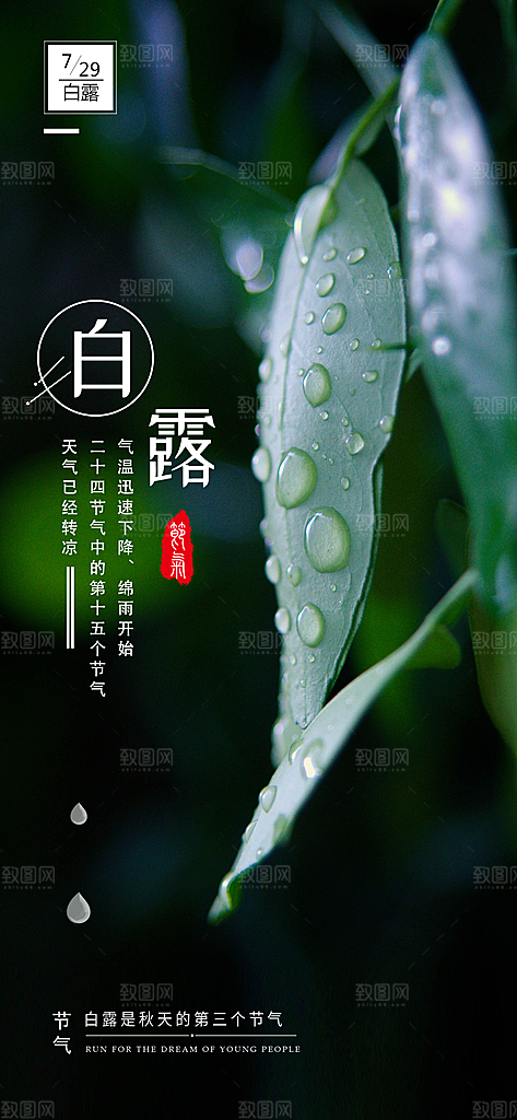 中国传统二十四节气白露节气宣传海报