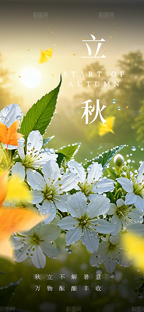 秋意立秋二十四节气海报