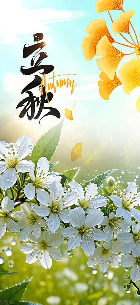 大气秋天秋意立秋二十四节气海报