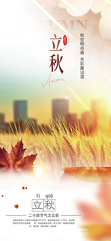 大气秋天秋意立秋二十四节气海报