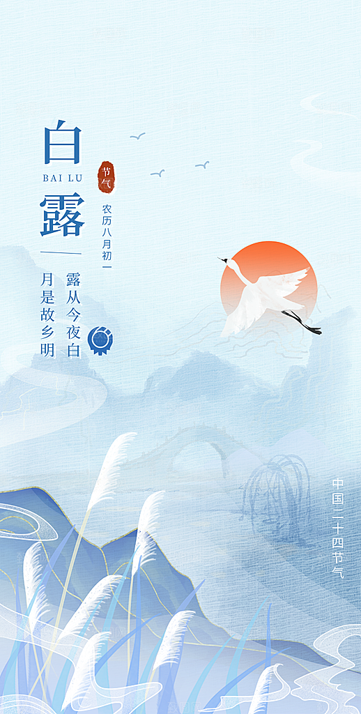白露节气简约大气海报