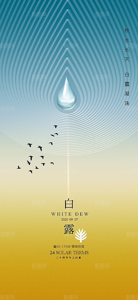白露节气简约大气海报