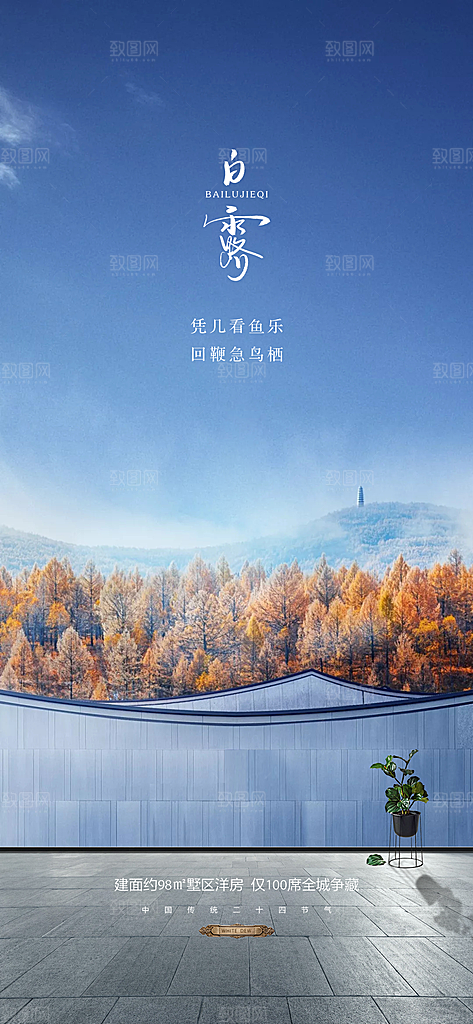 白露节气简约大气海报