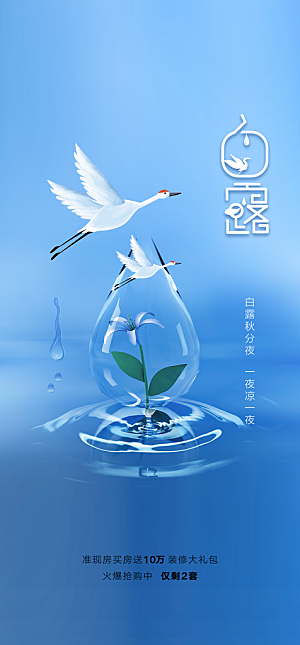 白露节气简约大气海报