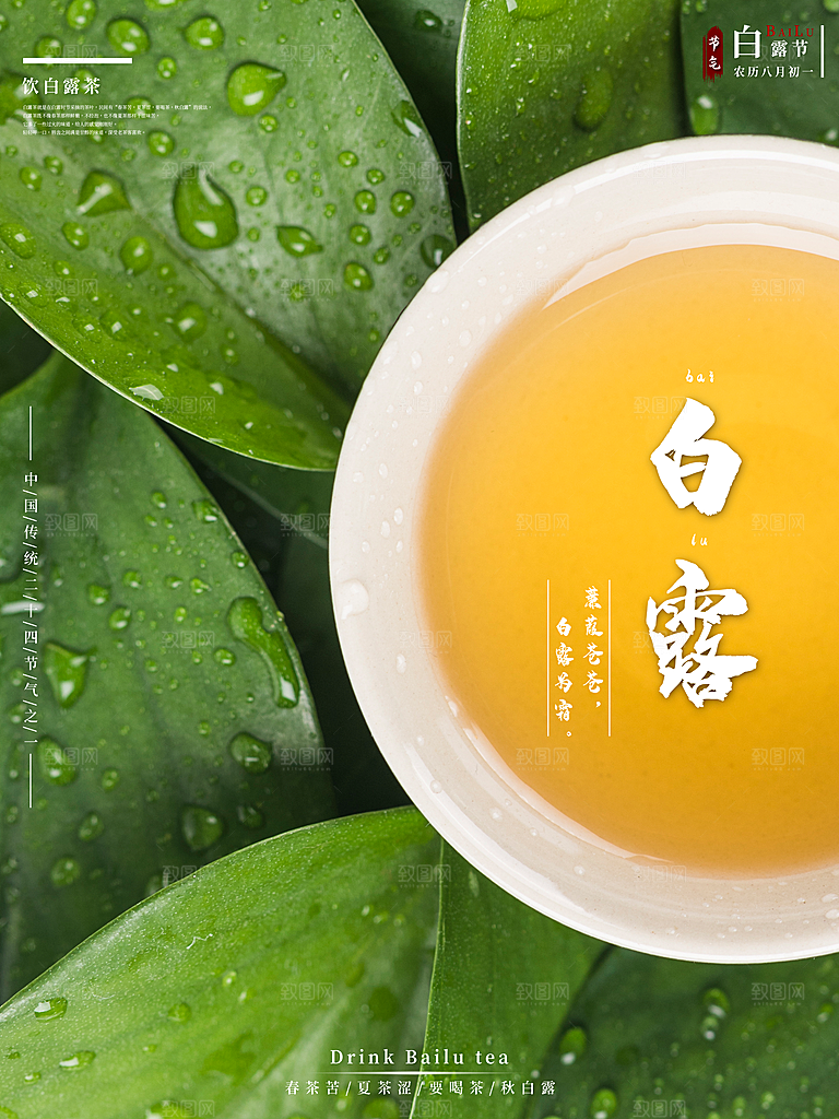 中国传统二十四节气白露节气宣传海报