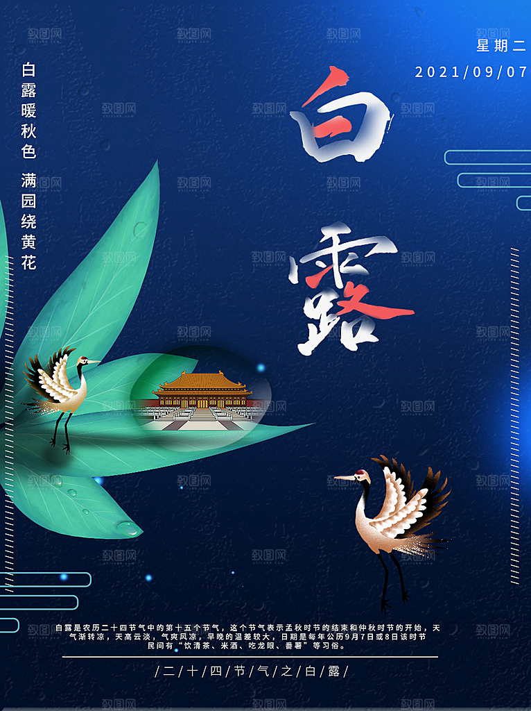 中国传统二十四节气白露节气宣传海报