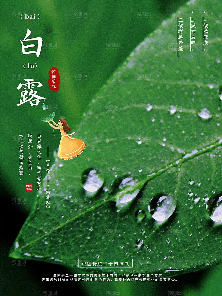 中国传统二十四节气白露节气宣传海报