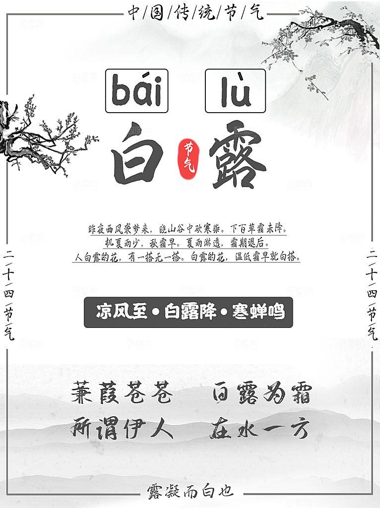 中国传统二十四节气白露节气宣传海报