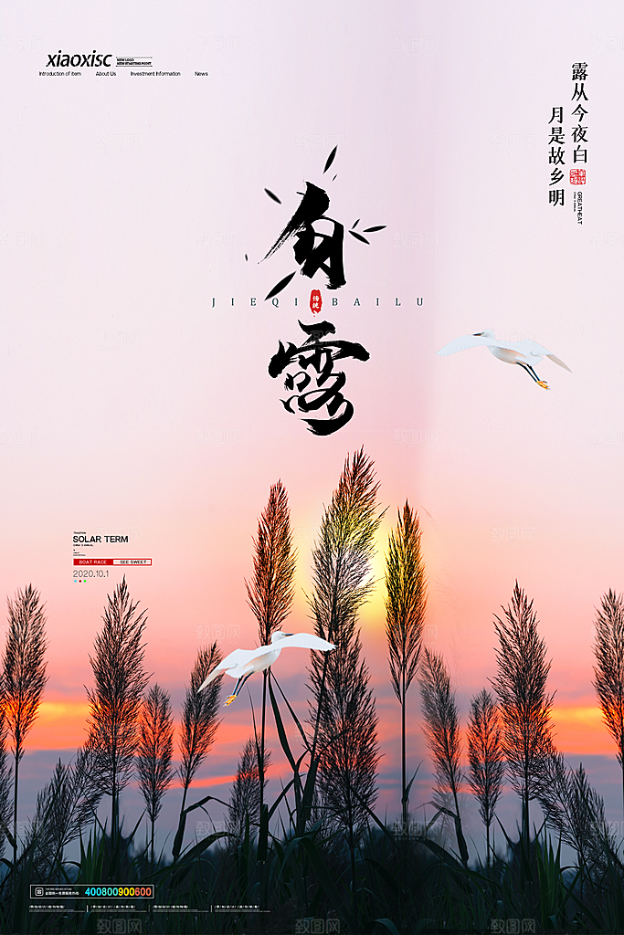 中国传统二十四节气白露节气宣传海报