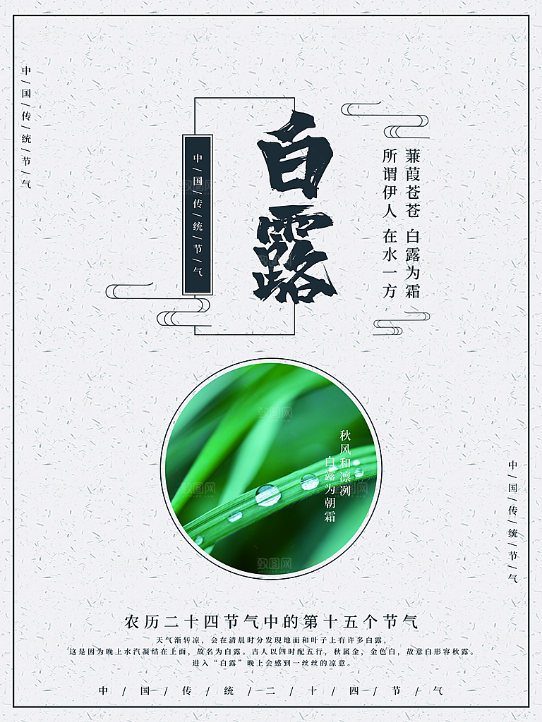 中国传统二十四节气白露节气宣传海报