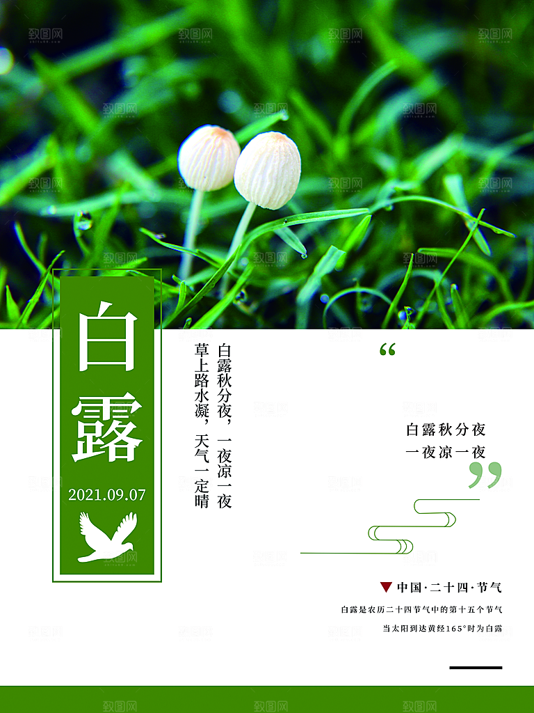 中国传统二十四节气白露节气宣传海报