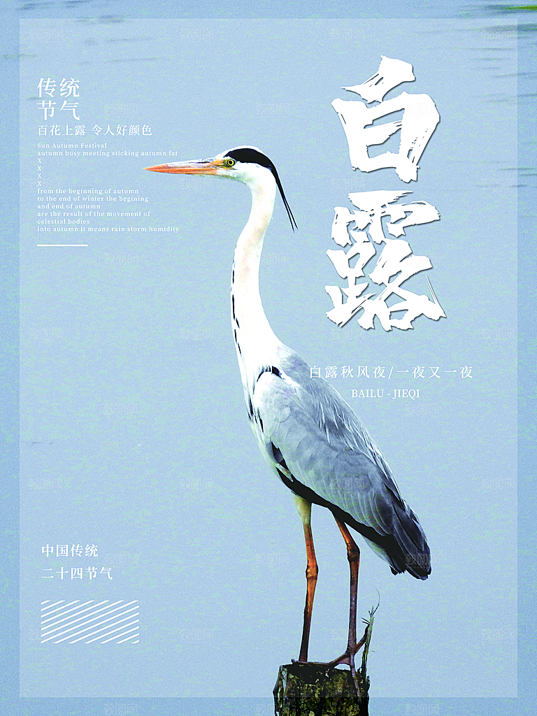 中国传统二十四节气白露节气宣传海报