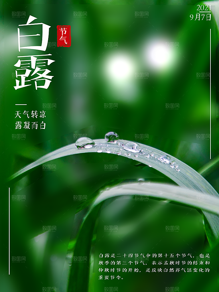 中国传统二十四节气白露节气宣传海报