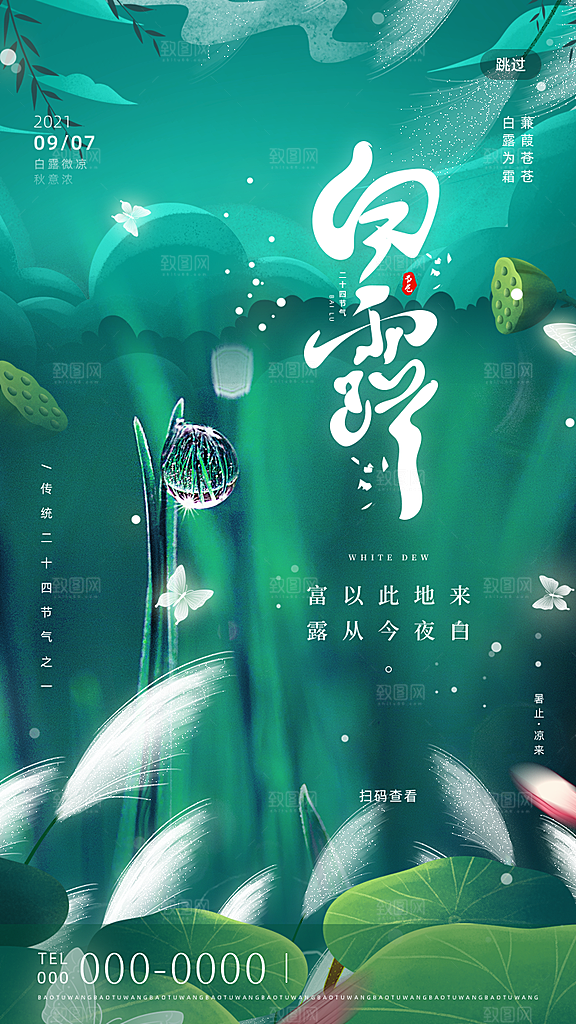 中国传统二十四节气白露节气宣传海报
