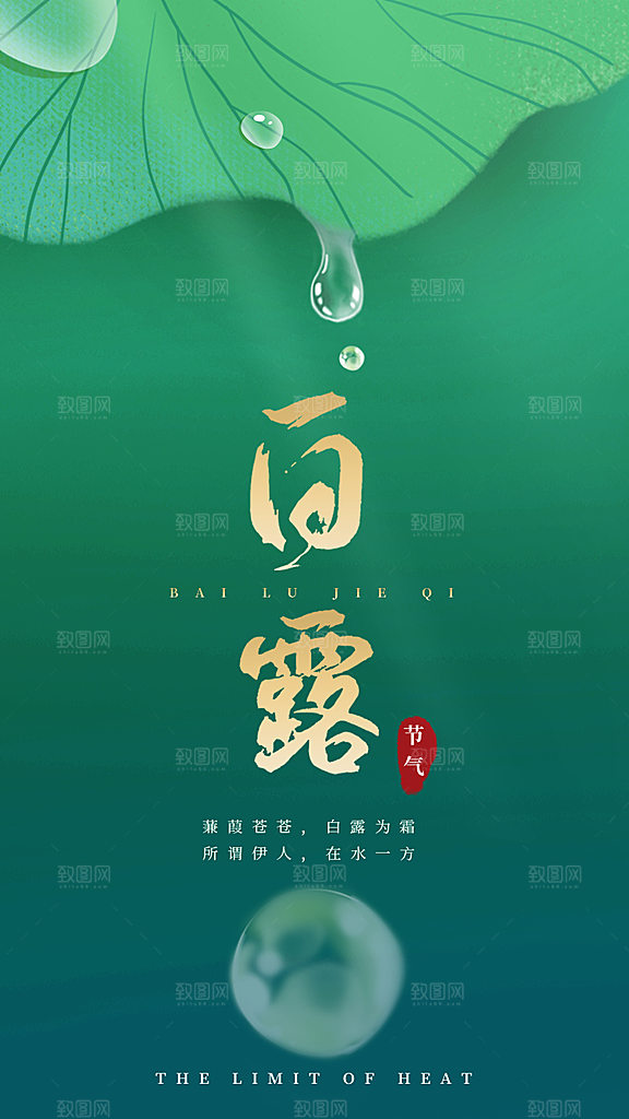 中国传统二十四节气白露节气宣传海报