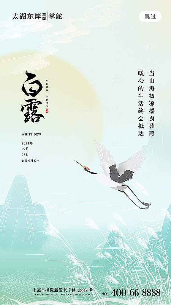 中国传统二十四节气白露节气宣传海报