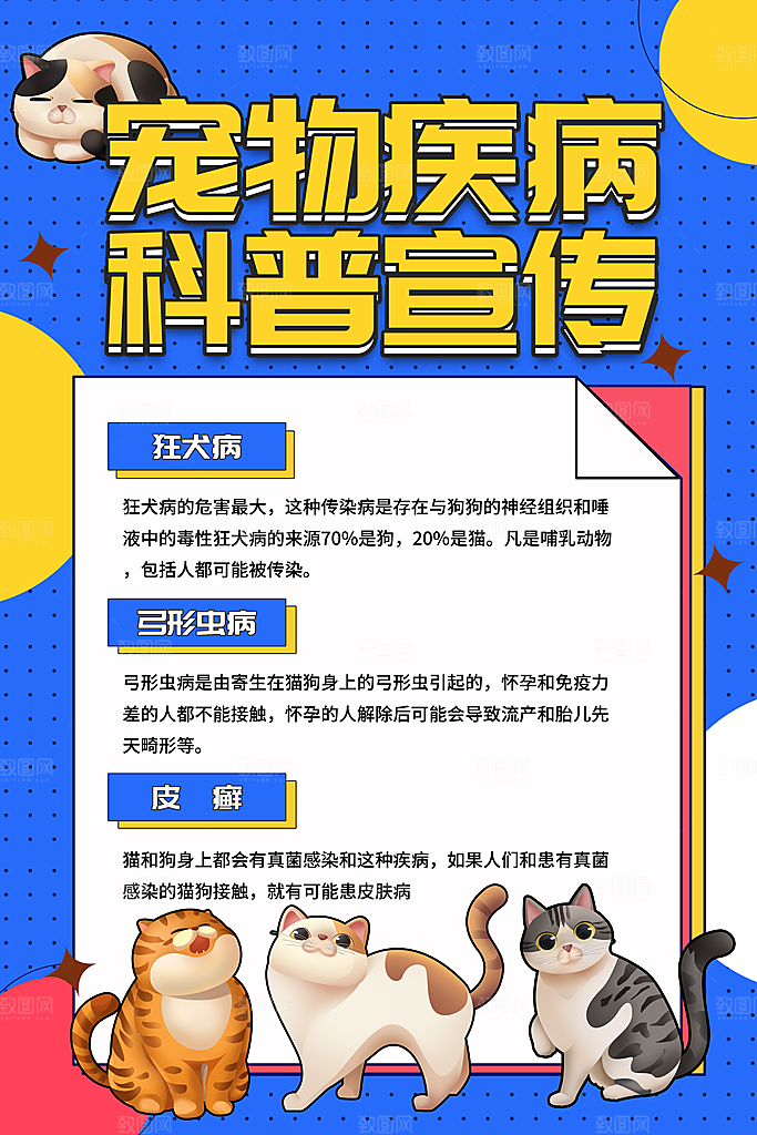 宠物商店用品美容领养宣传海报
