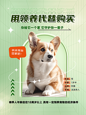 宠物商店用品美容领养宣传海报