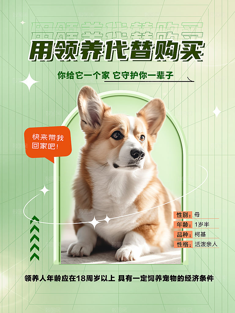 宠物商店用品美容领养宣传海报