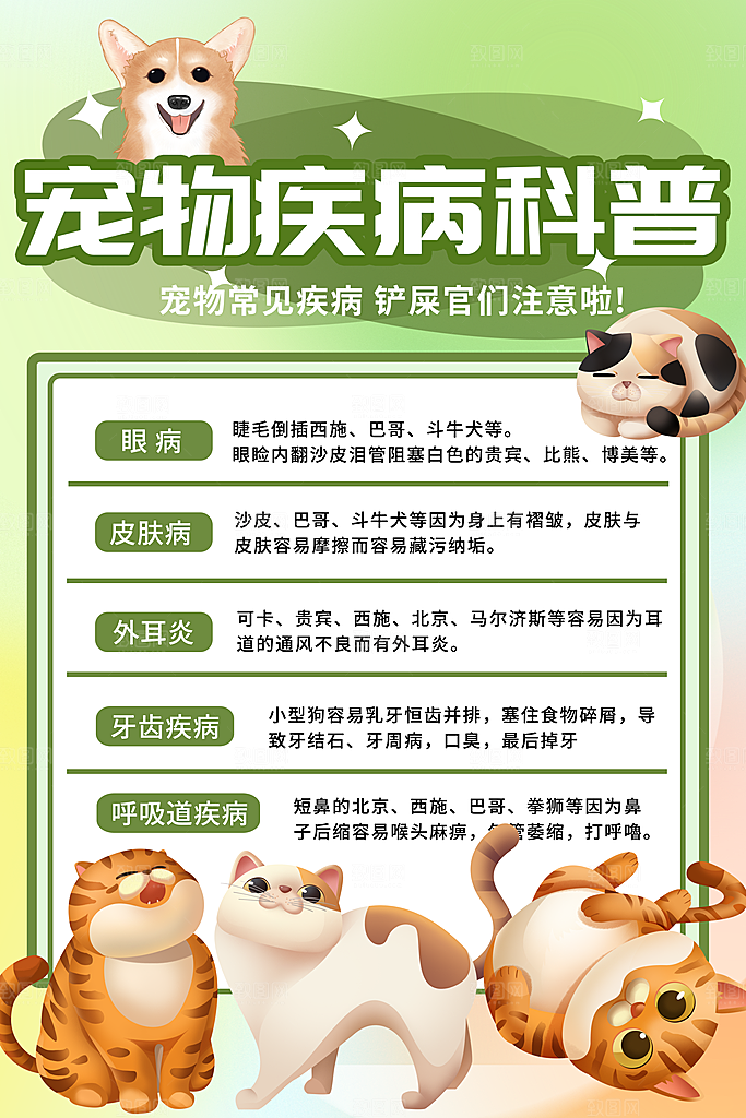 卡通可爱宠物商店用品美容领养宣传海报