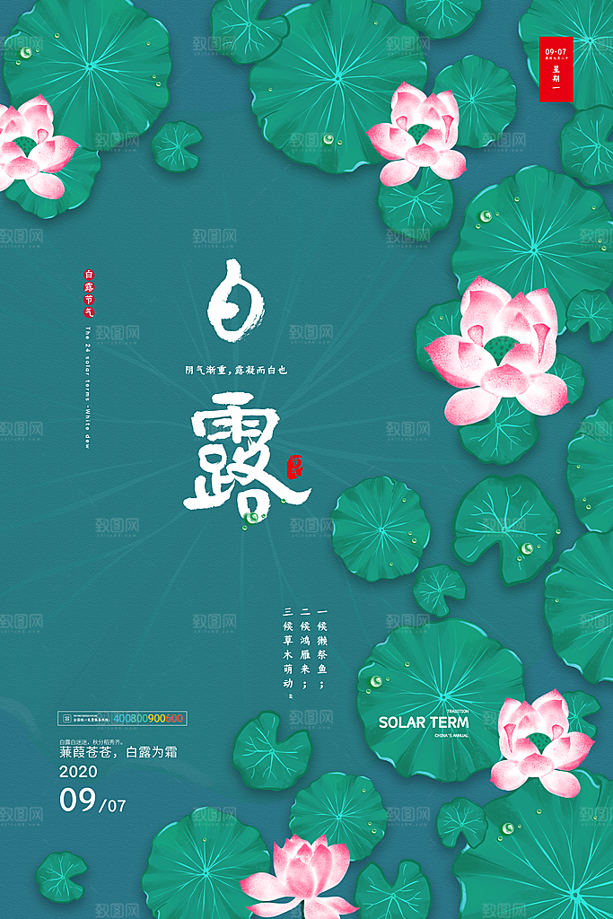 中国传统二十四节气白露节气宣传海报