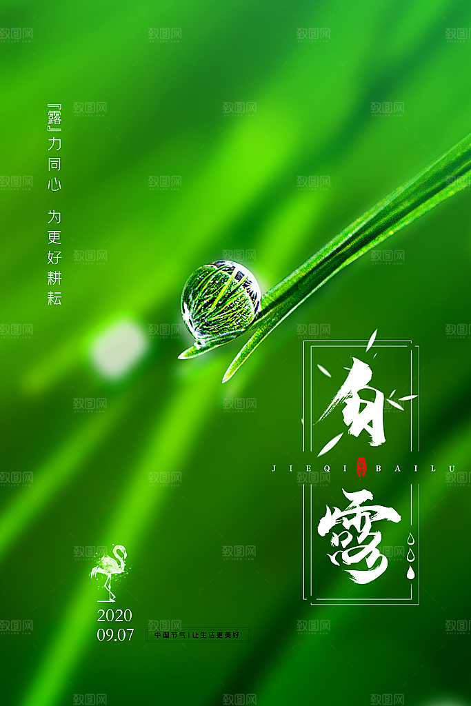 中国传统二十四节气白露节气宣传海报