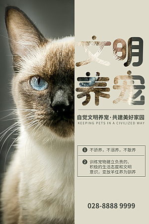 宠物商店用品美容领养宣传海报
