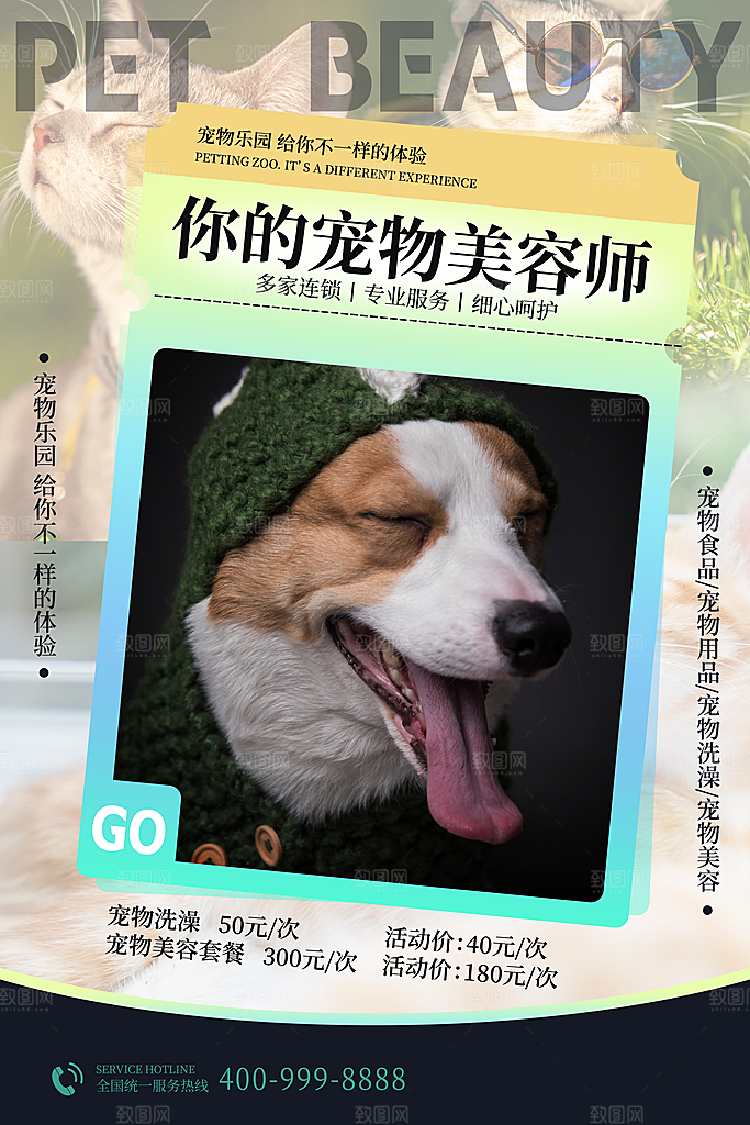 宠物商店用品美容领养宣传海报