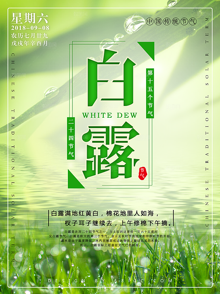 中国传统二十四节气白露节气宣传海报