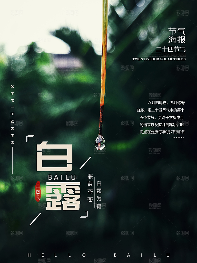 中国传统二十四节气白露节气宣传海报