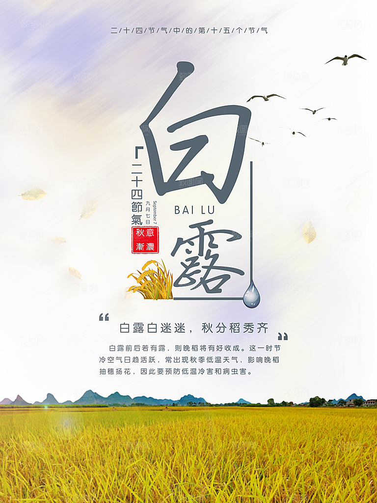 中国传统二十四节气白露节气宣传海报