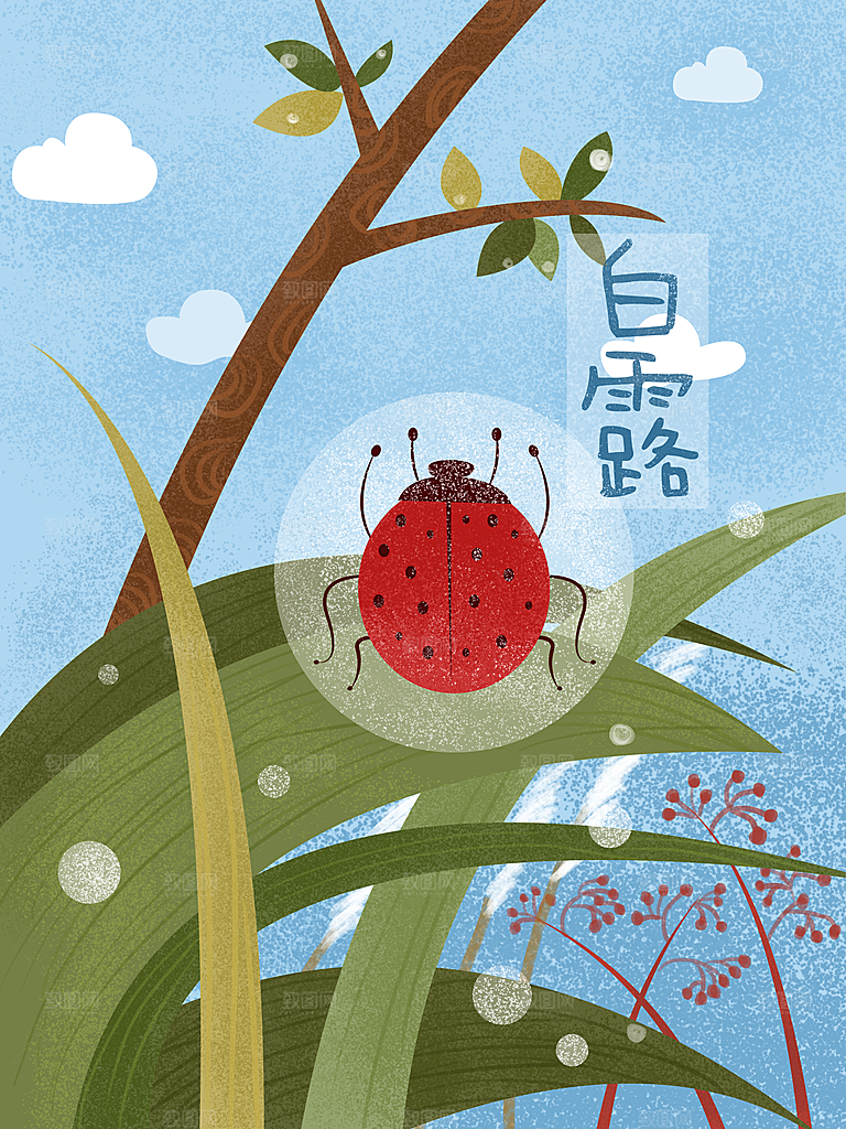 中国传统二十四节气白露节气宣传海报
