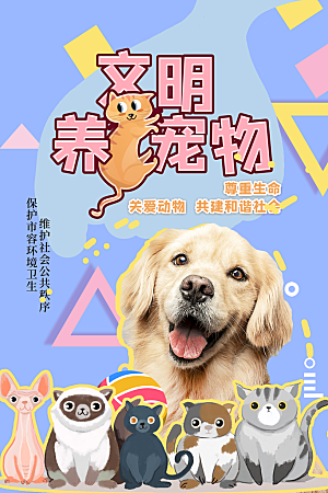 宠物商店用品美容领养宣传海报