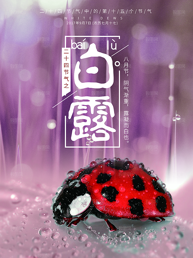 中国传统二十四节气白露节气宣传海报
