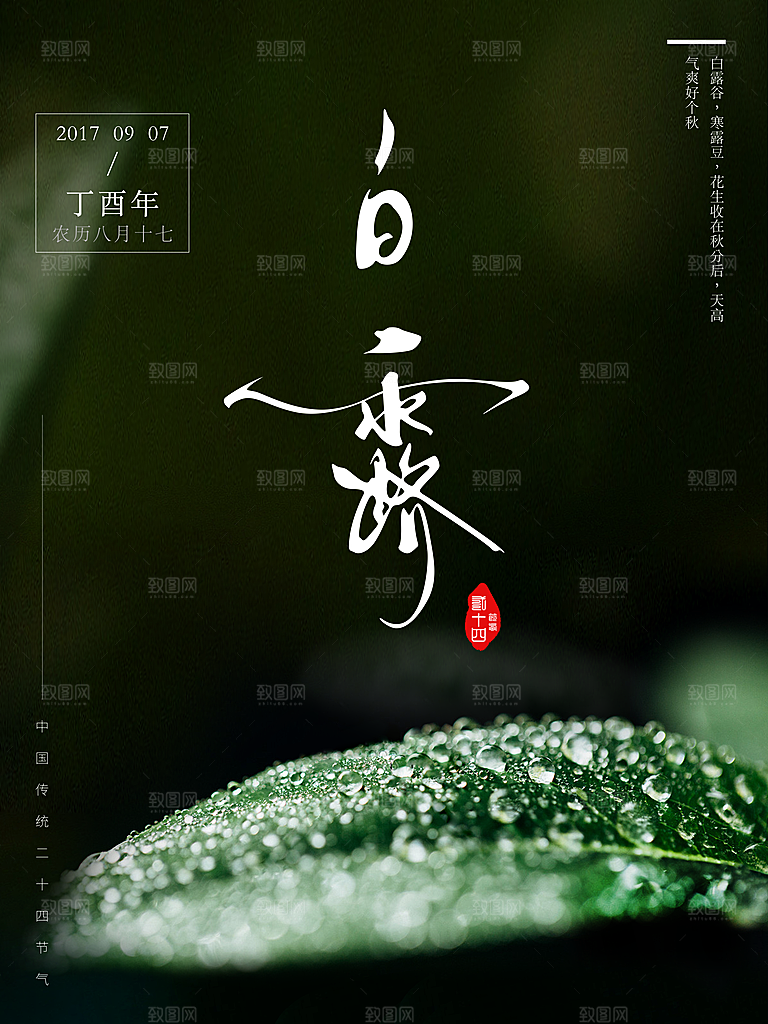 中国传统二十四节气白露节气宣传海报
