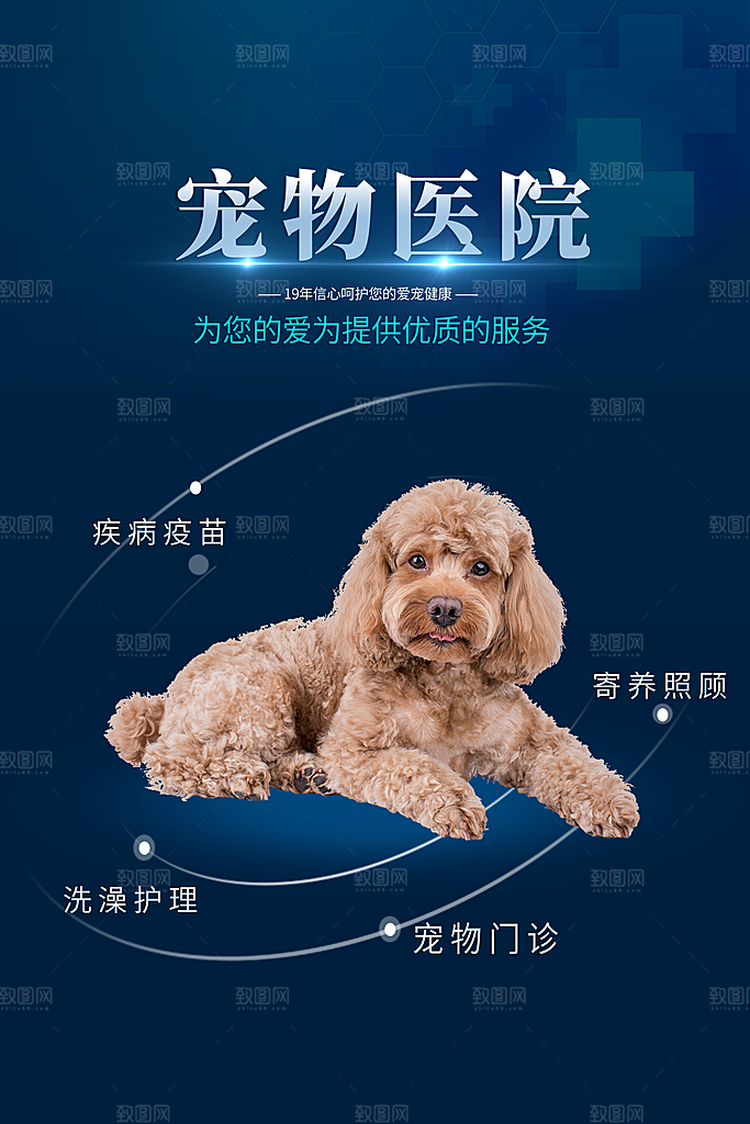 卡通可爱宠物商店用品美容领养宣传海报
