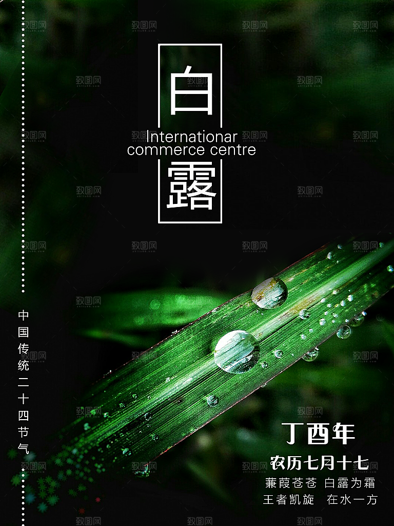 中国传统二十四节气白露节气宣传海报
