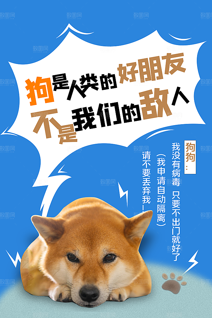 卡通可爱宠物商店用品美容领养宣传海报