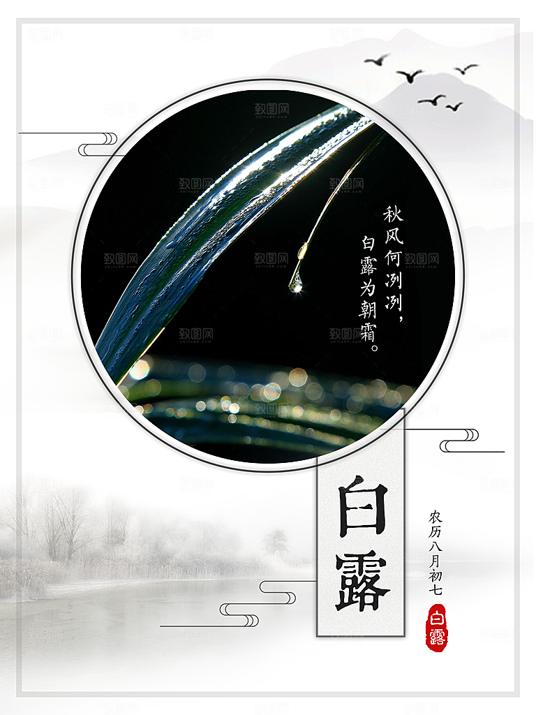 中国传统二十四节气白露节气宣传海报