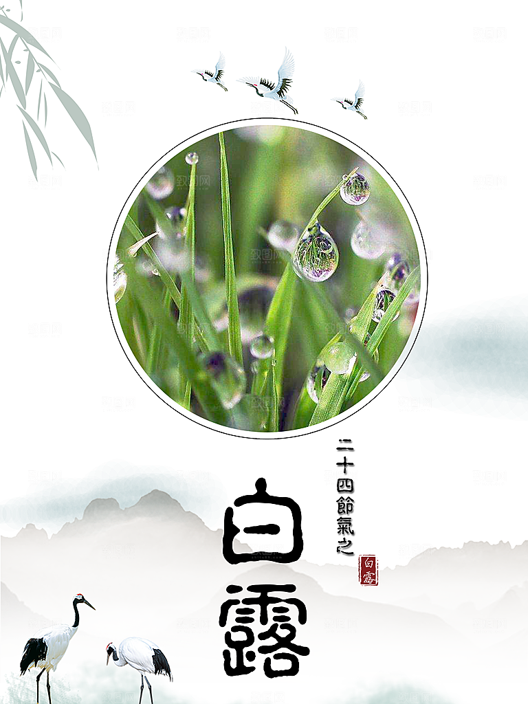中国传统二十四节气白露节气宣传海报
