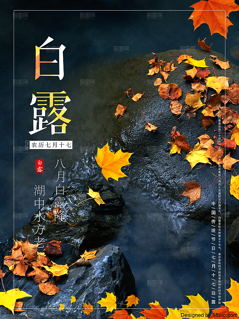 中国传统二十四节气白露节气宣传海报
