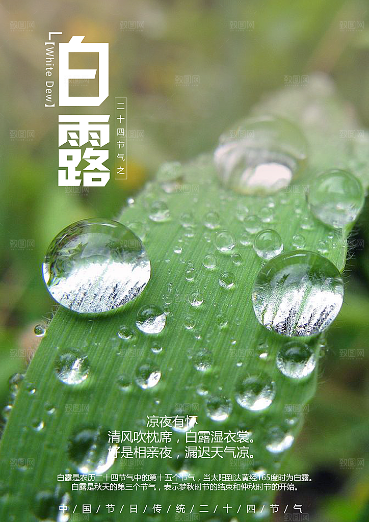 中国传统二十四节气白露节气宣传海报